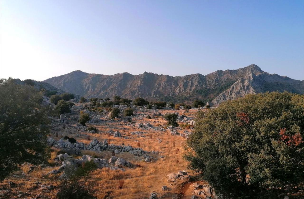 Casas Las Piedras De Agua Grazalema Eksteriør billede